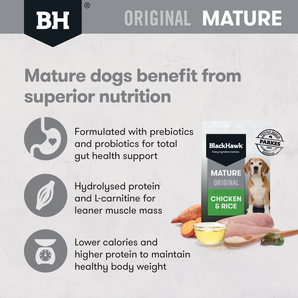Black Hawk Mature Chicken & Rice
