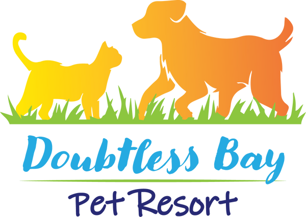Doubtless Bay Pet Resort
