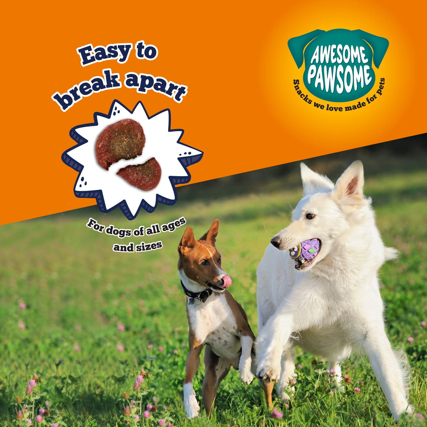 Awesome Pawsome Beefy Bites - Dog Treats, 85g - Doubtless Bay Pet Resort