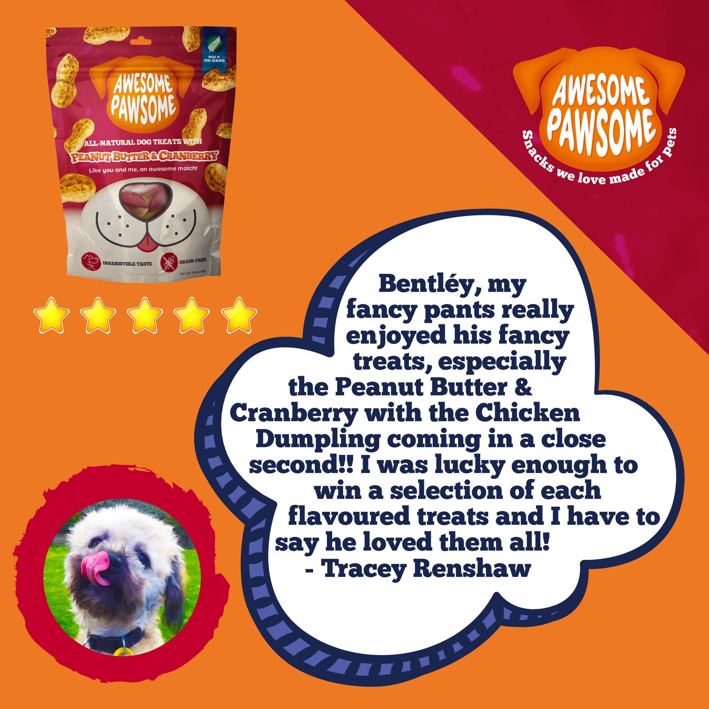 Awesome Pawsome Peanut Butter & Cranberry Dog Treats, 85g - Doubtless Bay Pet Resort