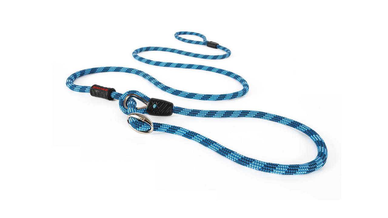 EzyDog Luca Leash - Doubtless Bay Pet Resort