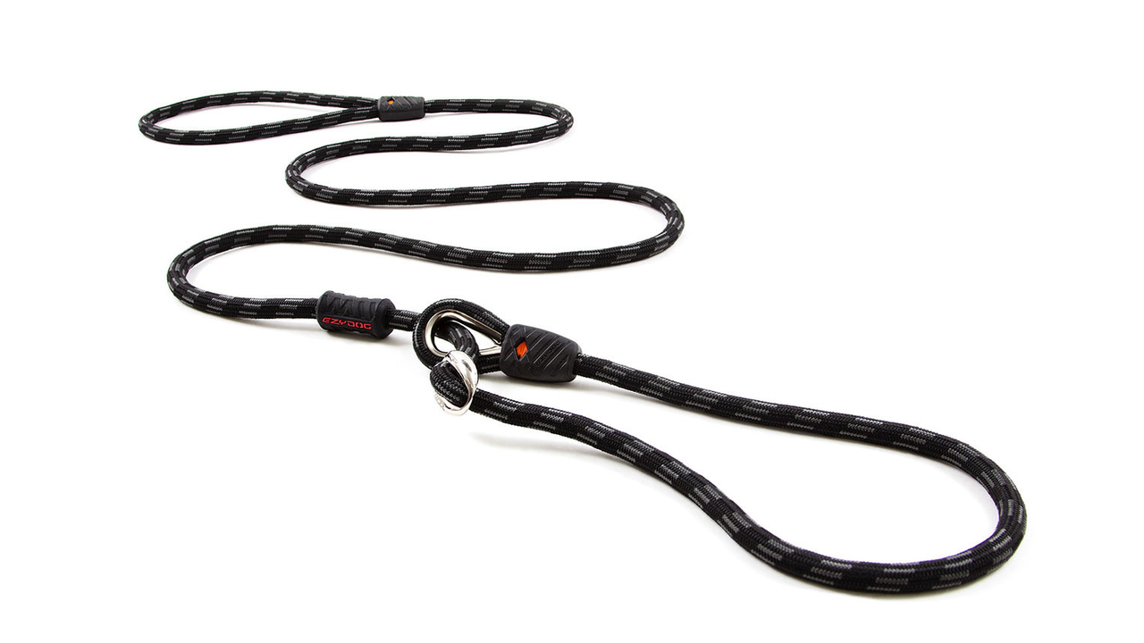 EzyDog Luca Leash - Doubtless Bay Pet Resort