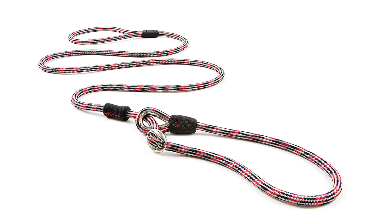 EzyDog Luca Leash - Doubtless Bay Pet Resort