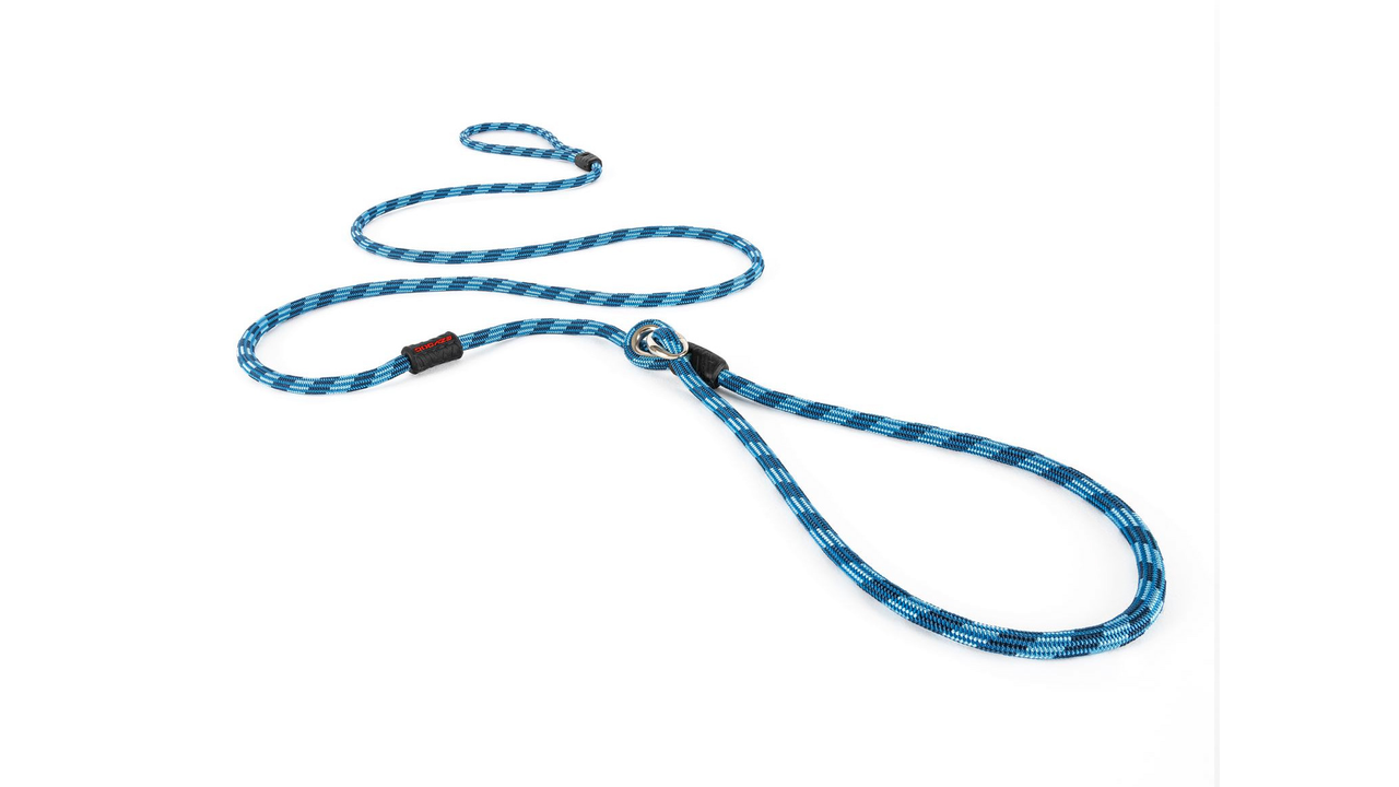 EzyDog Luca Leash LITE - Doubtless Bay Pet Resort