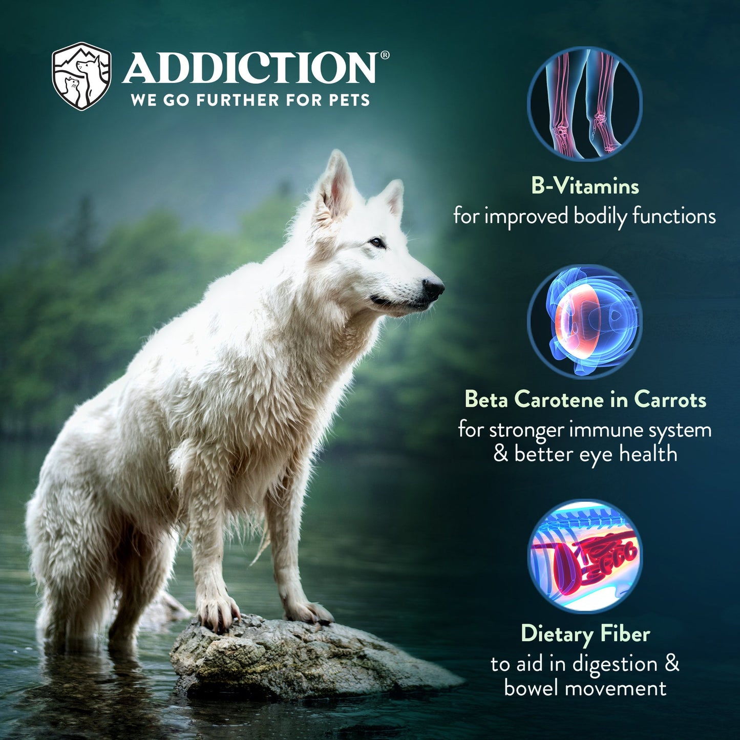 Addiction Perfect Summer Brushtail - Free-range Brushtail - Doubtless Bay Pet Resort