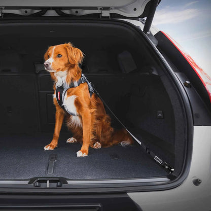 EzyDog Car Click ISOFIX Cargo Seat Belt Attachment
