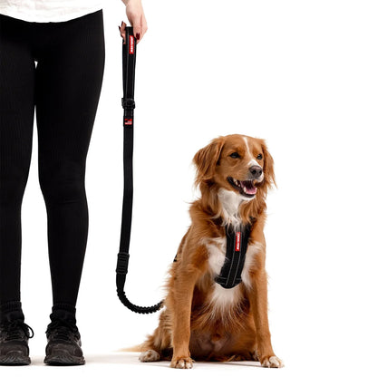 EzyDog Zero Shock Leash