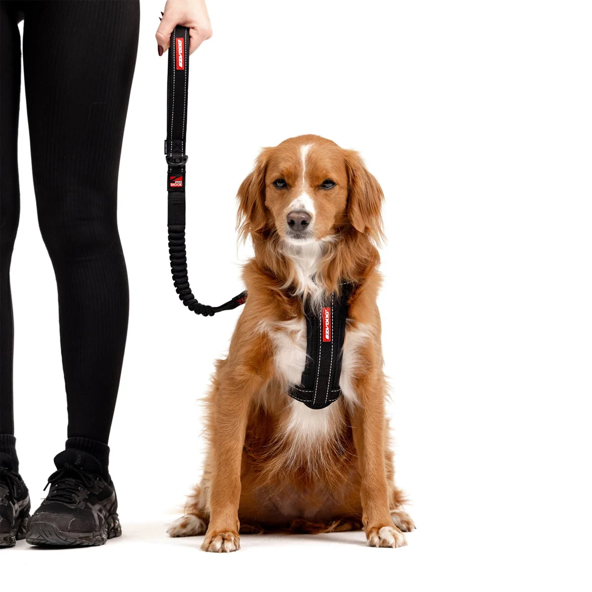 EzyDog Zero Shock Leash