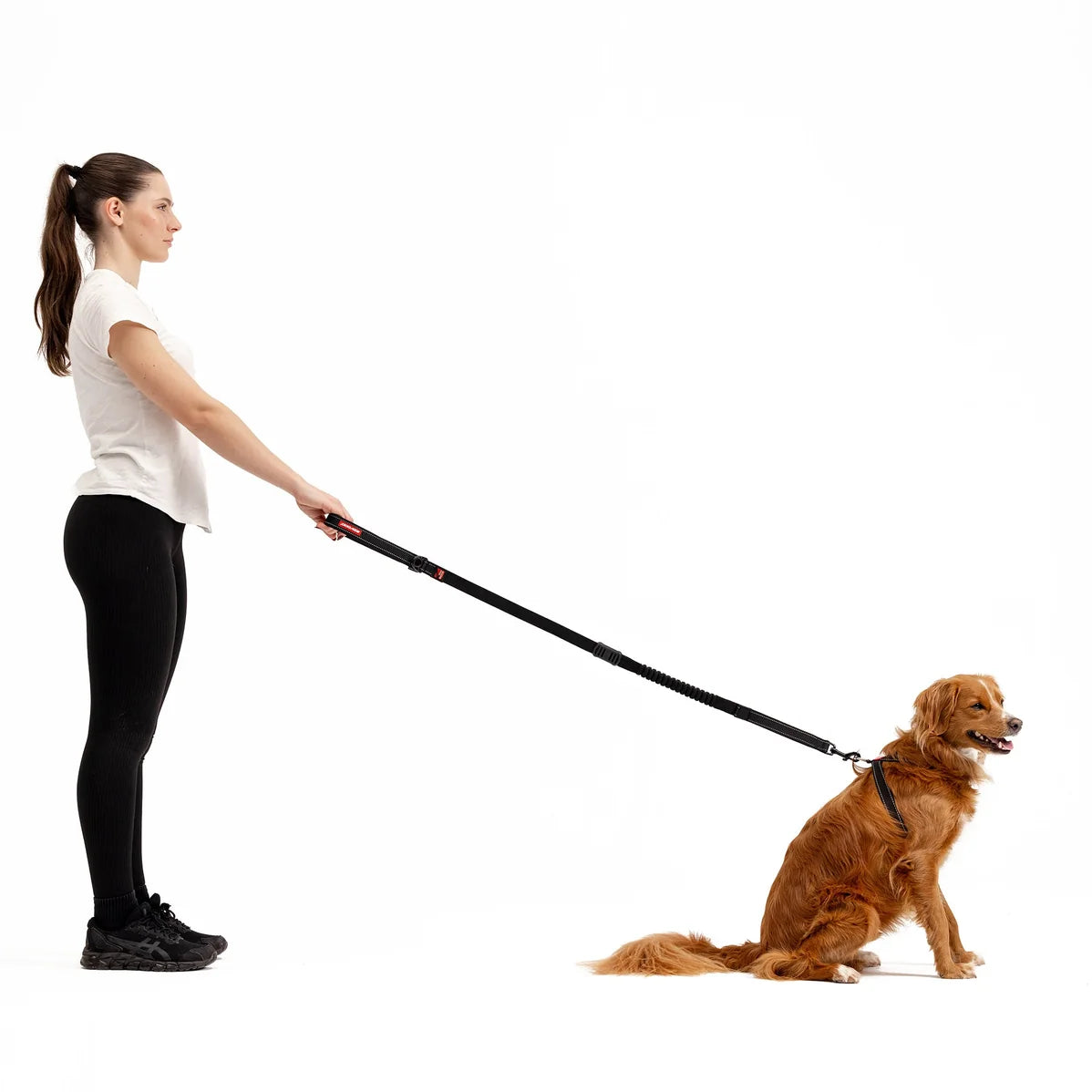 EzyDog Zero Shock Leash