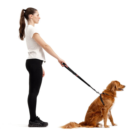 EzyDog Zero Shock Leash