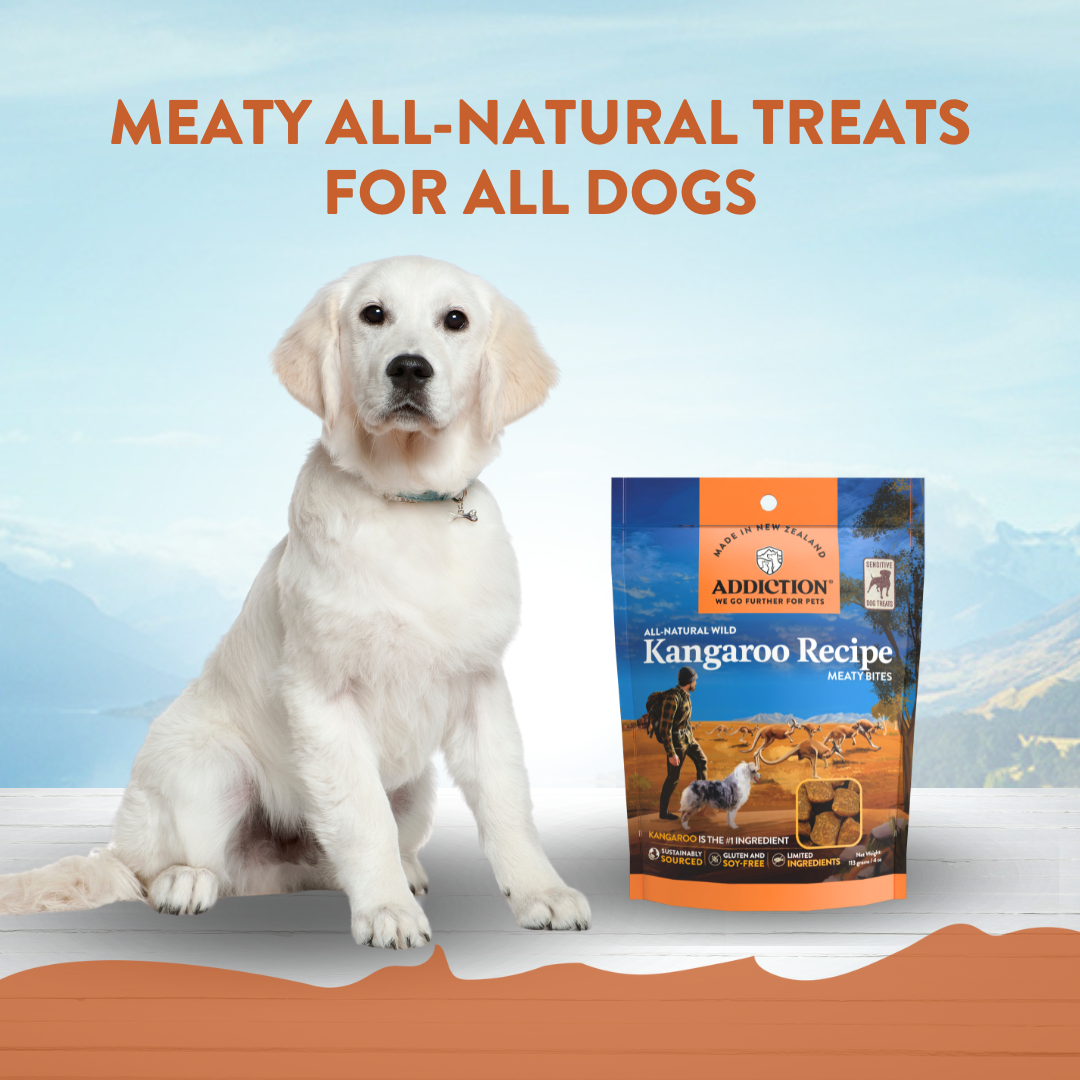 Addiction Wild Kangaroo Meaty Bites, Sensitive Care, Novel Protein Dog Treats, 113g