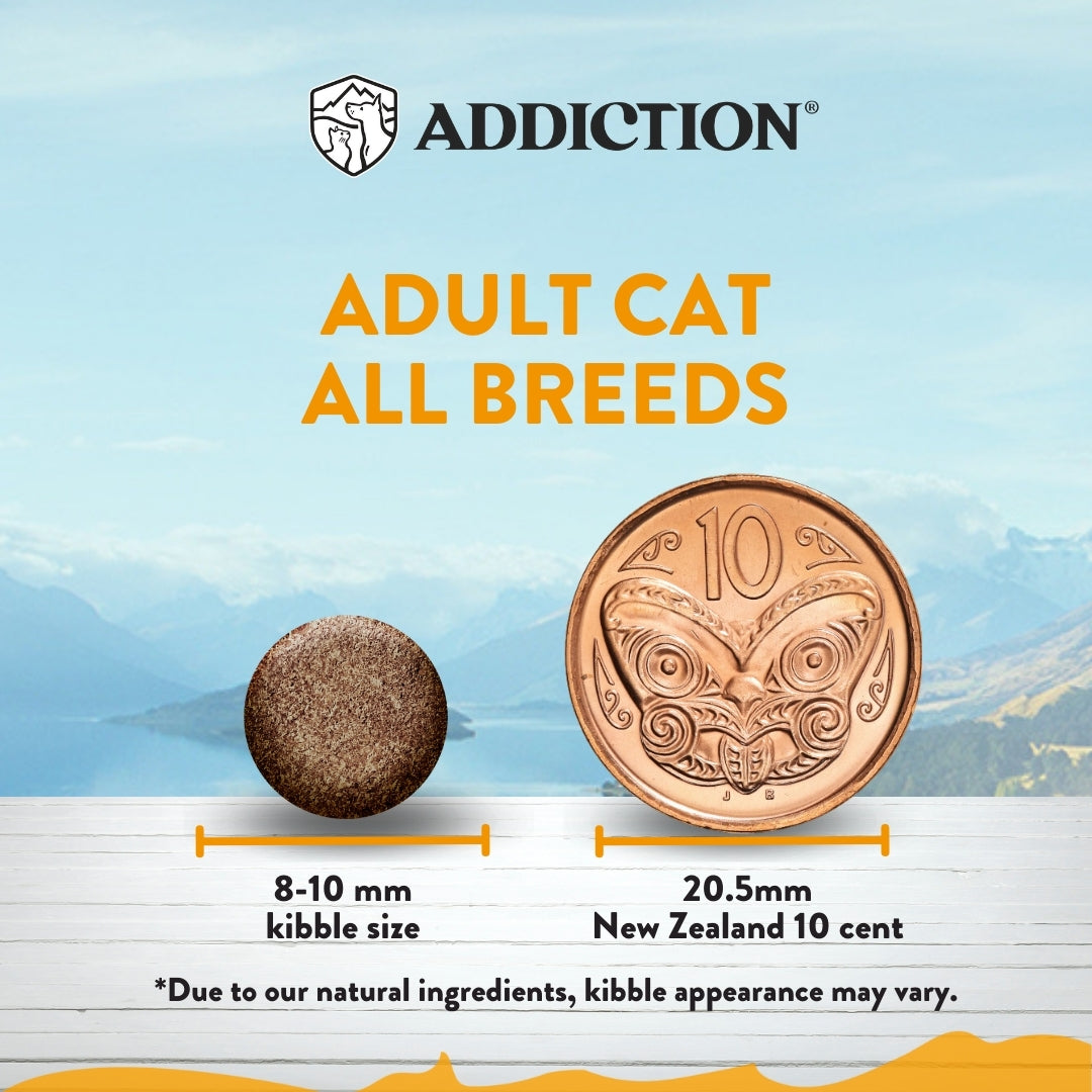 Chicken Supreme Adult Cat, Complete & Balanced, Immune Boost Dry Cat Food