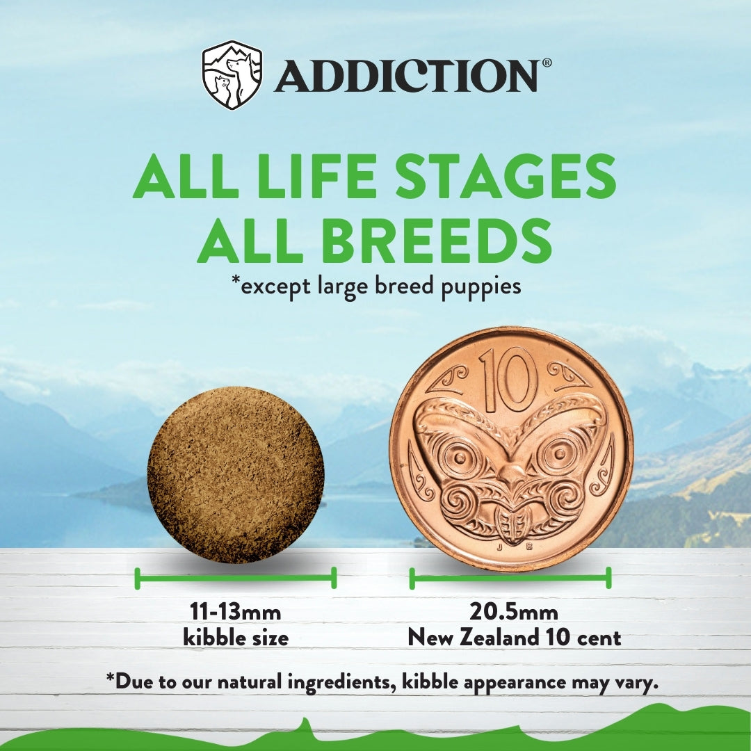 Addiction Le Lamb, Complete & Balanced, Digestive Health Dry Dog Food