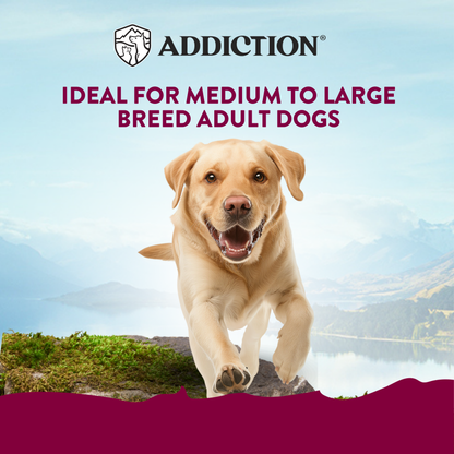 Addiction MEGA Country Chicken Dinner with Carrots & Peas Meaty Loaf Wet Dog Food 700g