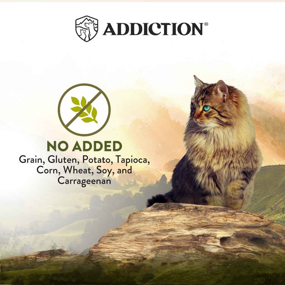 Addiction Wild Islands Highland Meats Lamb & Beef Grain-Free Canned Cat Food 185g