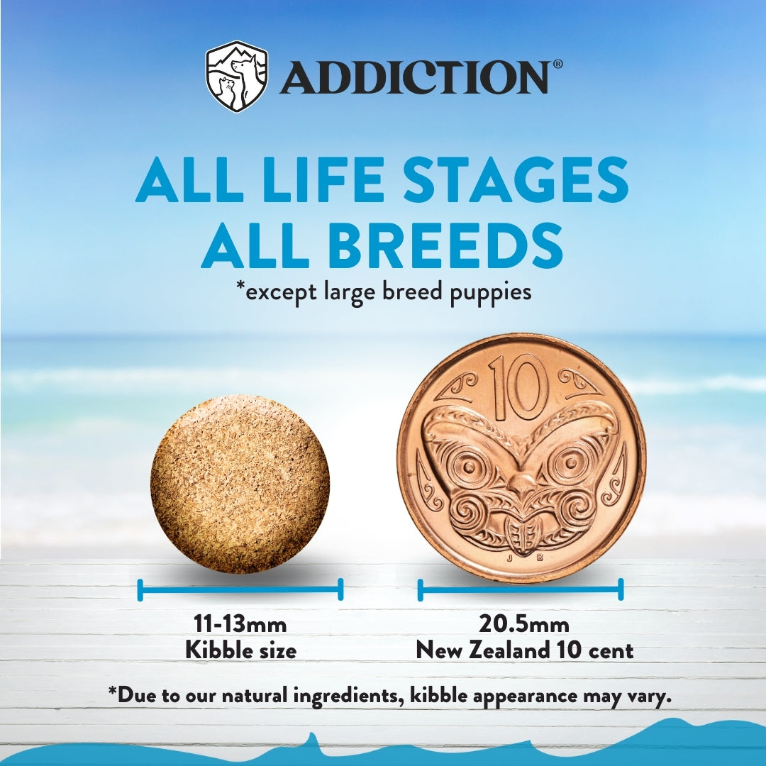 Addiction Salmon Bleu, Complete & Balanced, Skin & Coat Dry Dog Food
