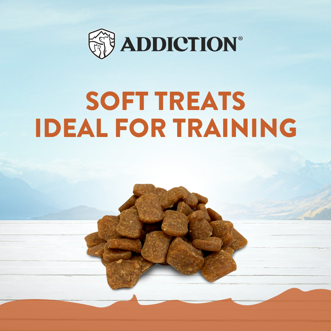 Addiction Wild Kangaroo Meaty Bites, Sensitive Care, Novel Protein Dog Treats, 113g
