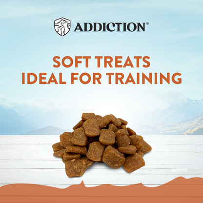 Addiction Wild Kangaroo Meaty Bites, Sensitive Care, Novel Protein Dog Treats, 113g