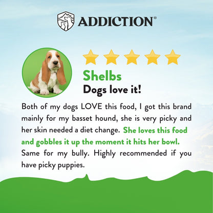 Addiction Le Lamb, Complete & Balanced, Digestive Health Dry Dog Food
