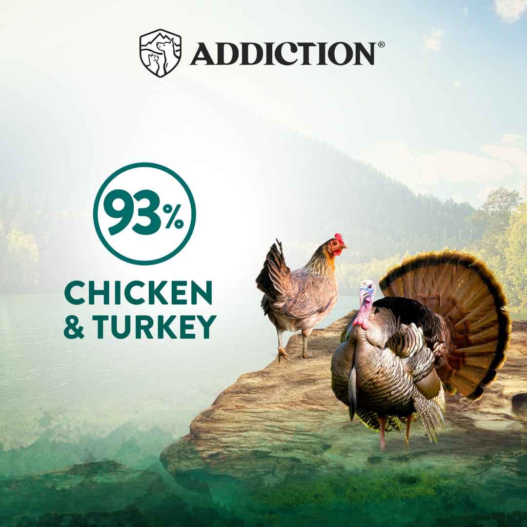 Addiction Wild Islands Island Birds Chicken & Turkey Canned Cat Food 185g