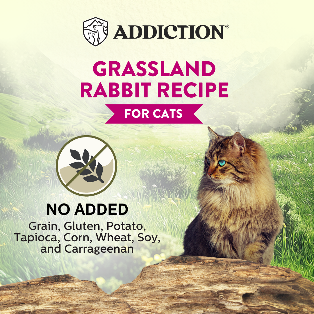 Addiction Wild Islands Grassland Rabbit Grain-Free Canned Cat Food 85g