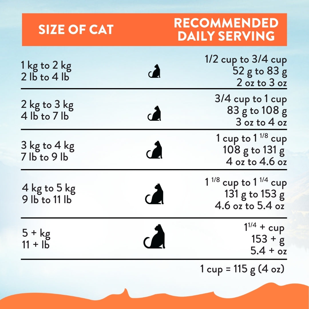 Addiction Chicken Supreme Kitten daily feeding guide