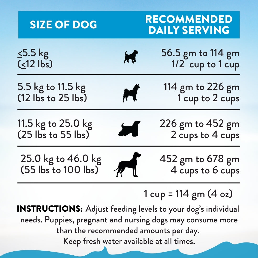 Addiction Salmon Bleu, Complete & Balanced, Skin & Coat Dry Dog Food