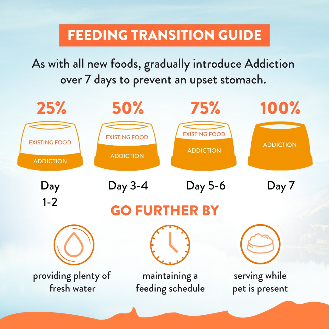 Addiction seven-day food transition guide