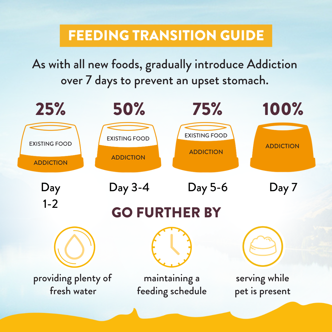 Addiction seven-day transition guide