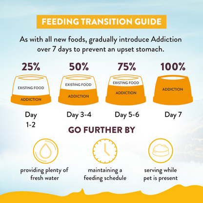 Addiction seven-day transition guide