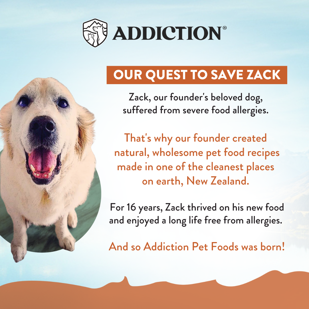 Addiction Wild Kangaroo Meaty Bites, Sensitive Care, Novel Protein Dog Treats, 113g