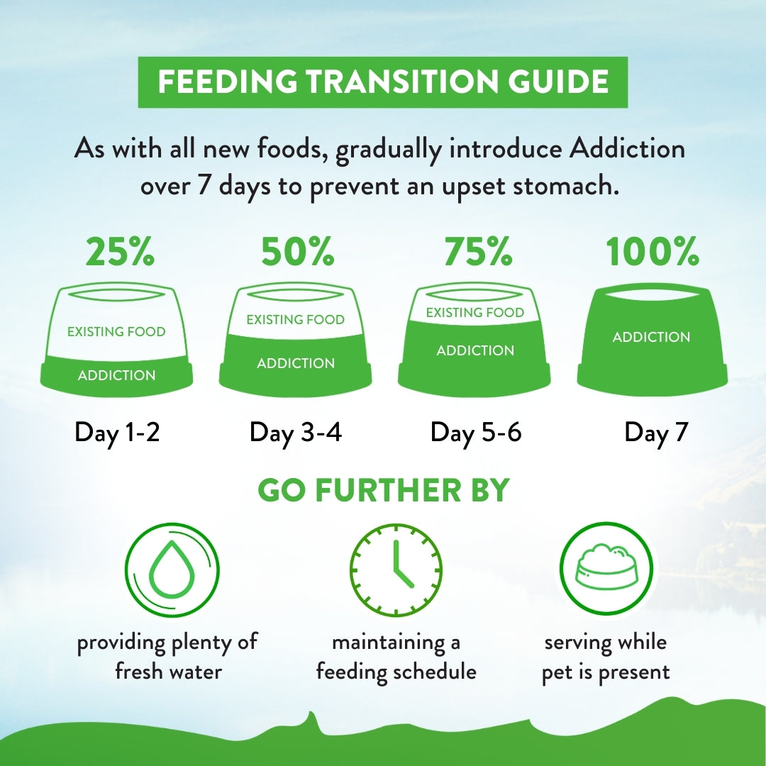 Addiction Le Lamb, Complete & Balanced, Digestive Health Dry Dog Food