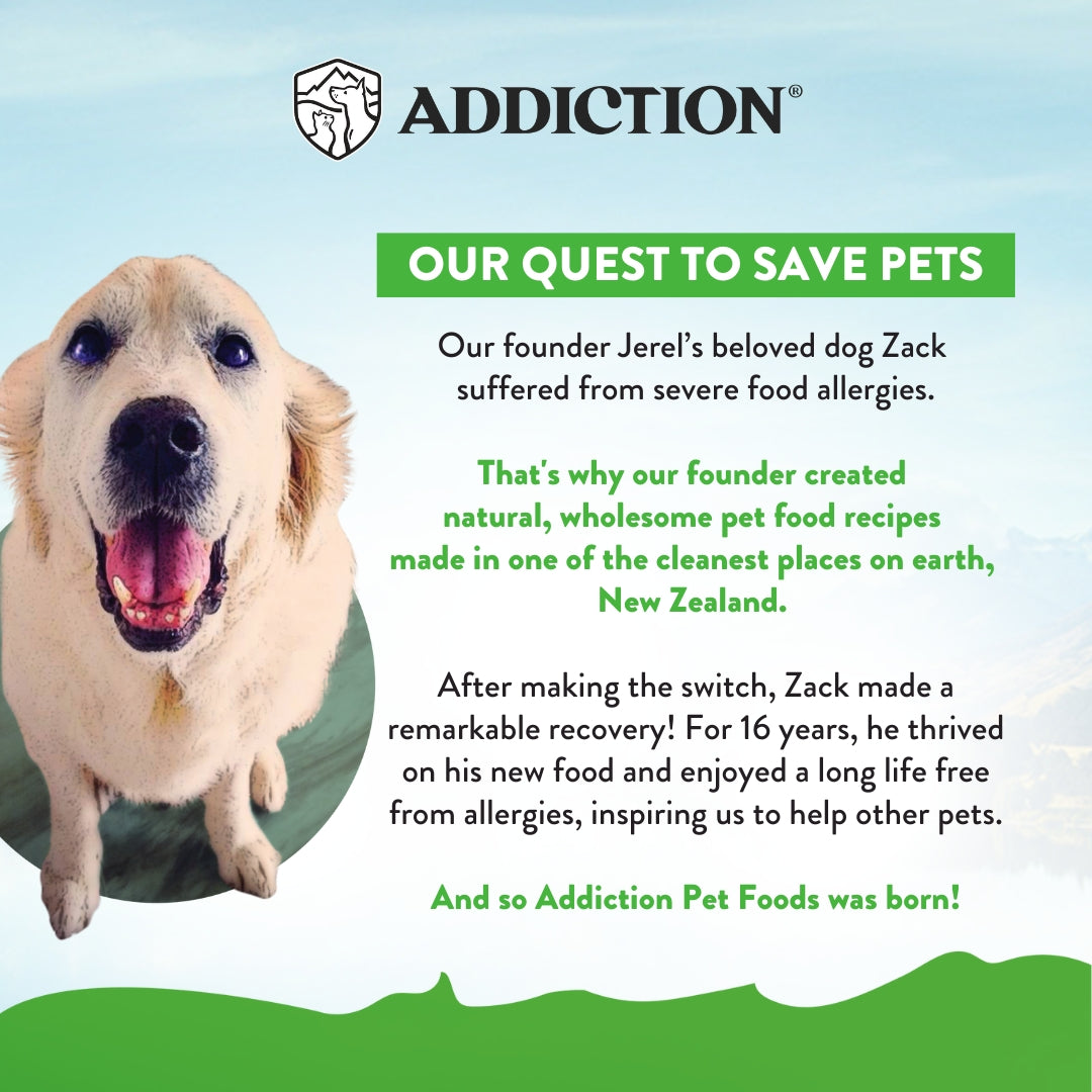 Addiction Le Lamb, Complete & Balanced, Digestive Health Dry Dog Food