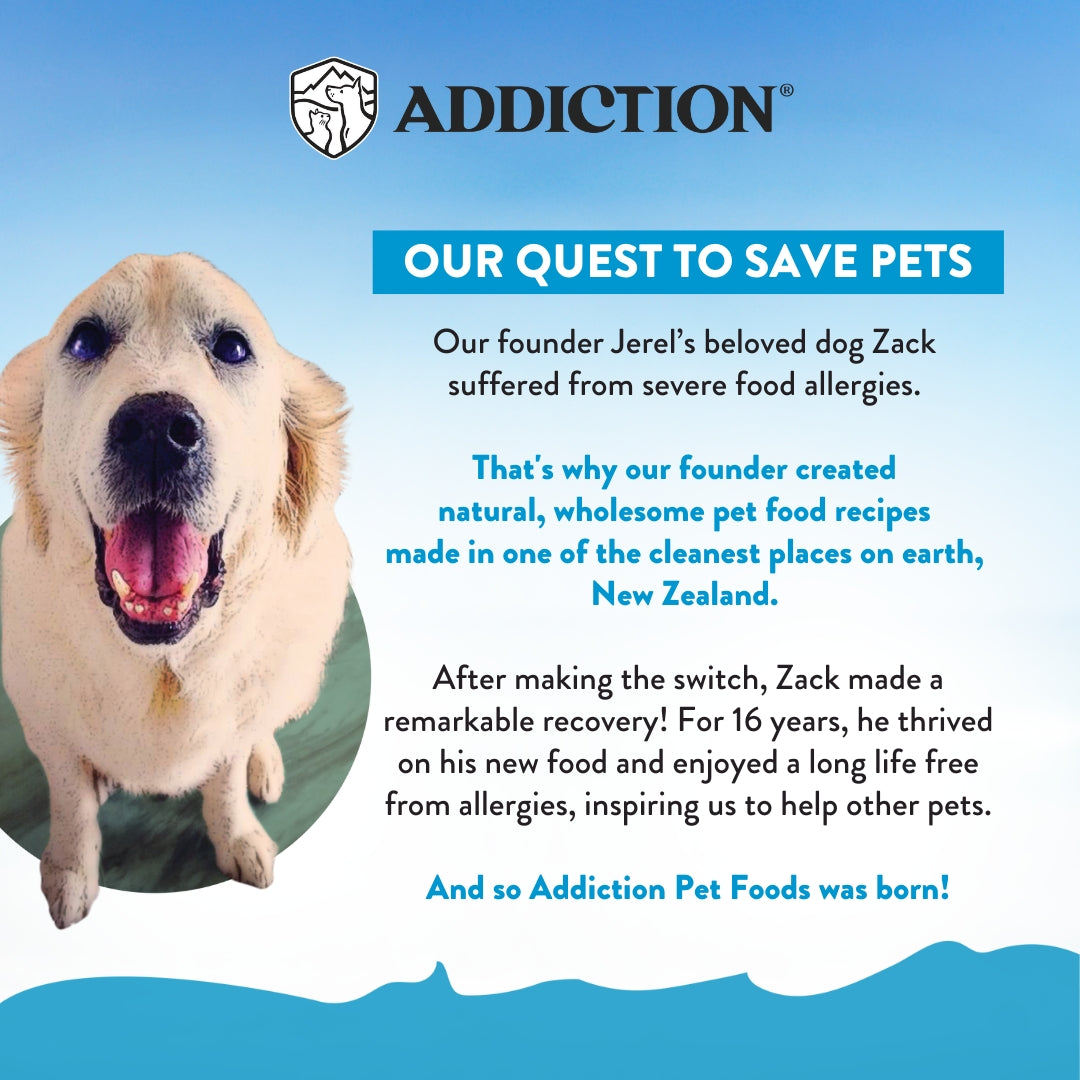 Addiction Salmon Bleu, Complete & Balanced, Skin & Coat Dry Dog Food