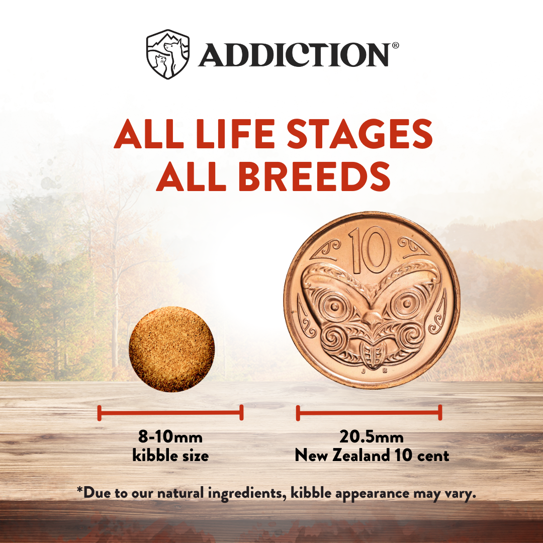 Addiction Wild Islands Forest Meat Venison High Protein Dry Cat Food
