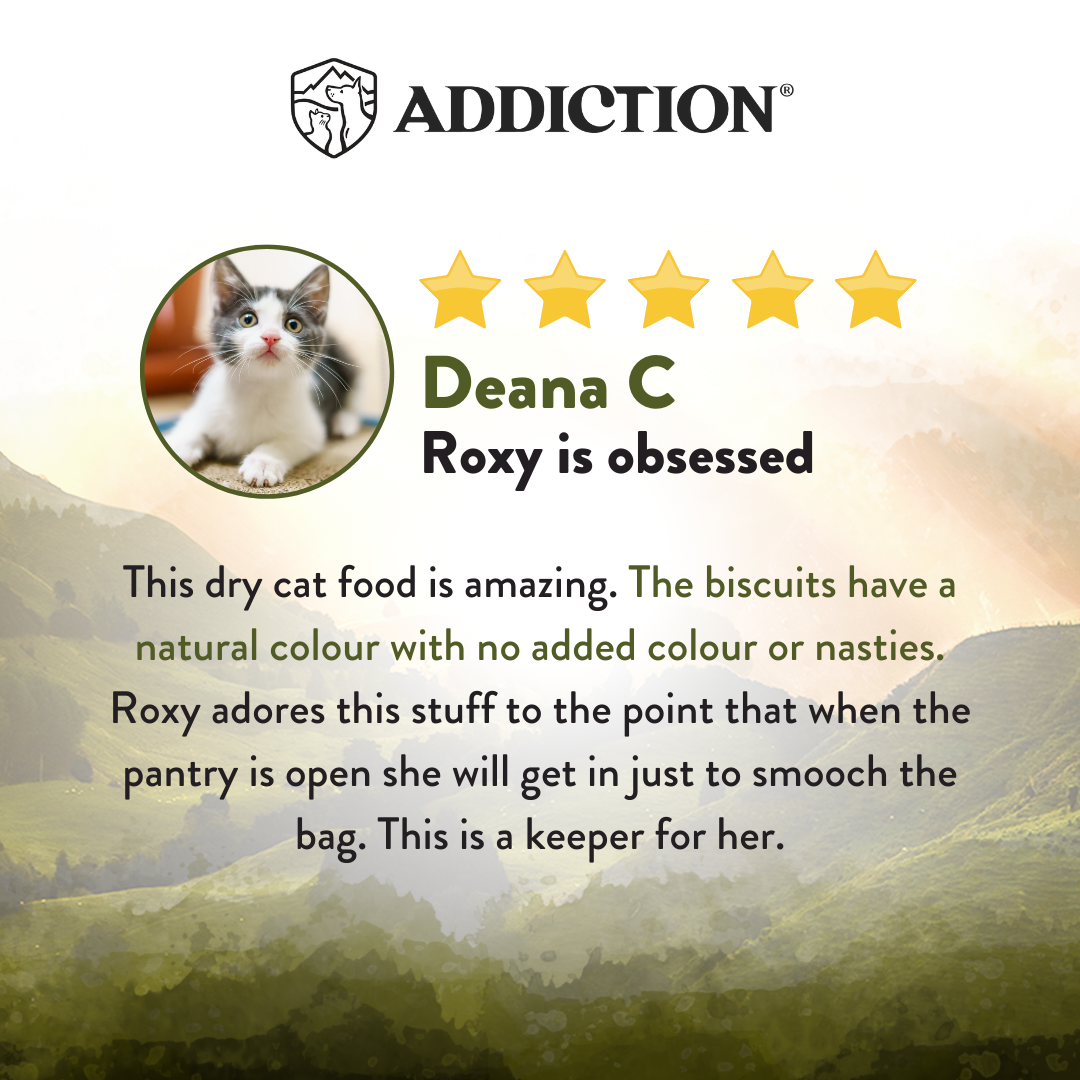 Addiction Wild Islands Highland Meats Lamb & Beef High Protein Dry Cat Food