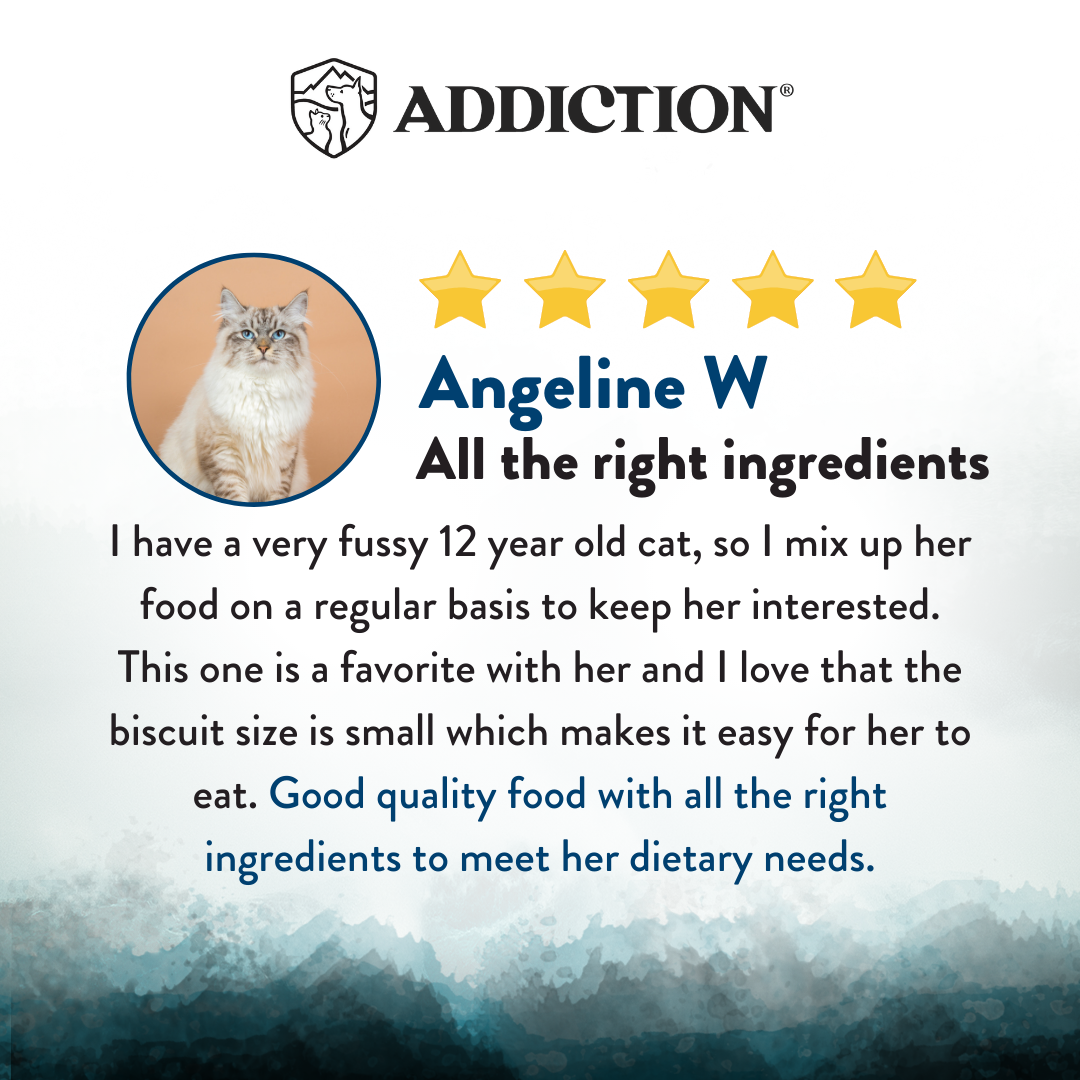 Addiction Wild Islands Pacific Catch Salmon, Mackerel & Hoki High Protein Dry Cat Food