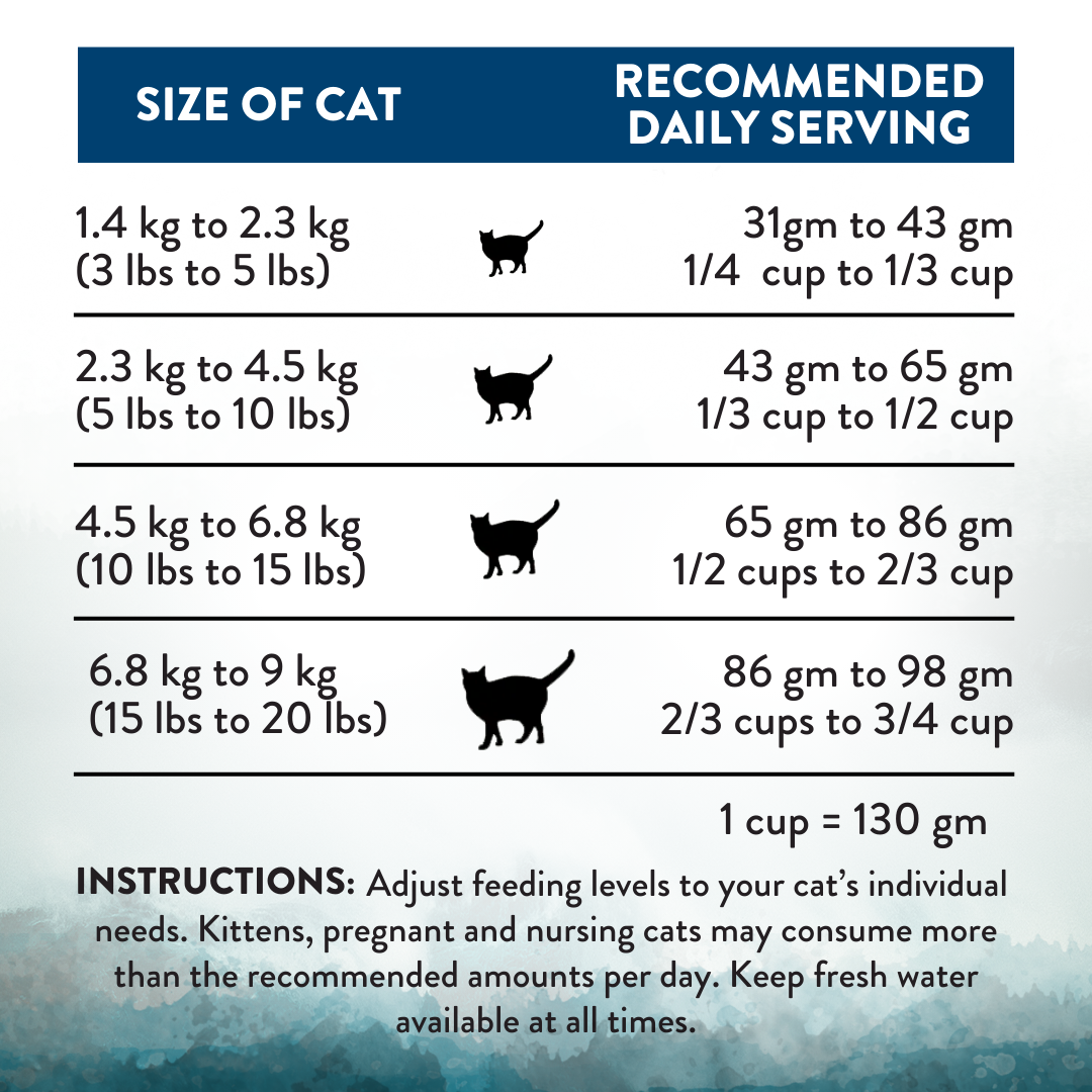 Addiction Wild Islands Pacific Catch Salmon, Mackerel & Hoki High Protein Dry Cat Food