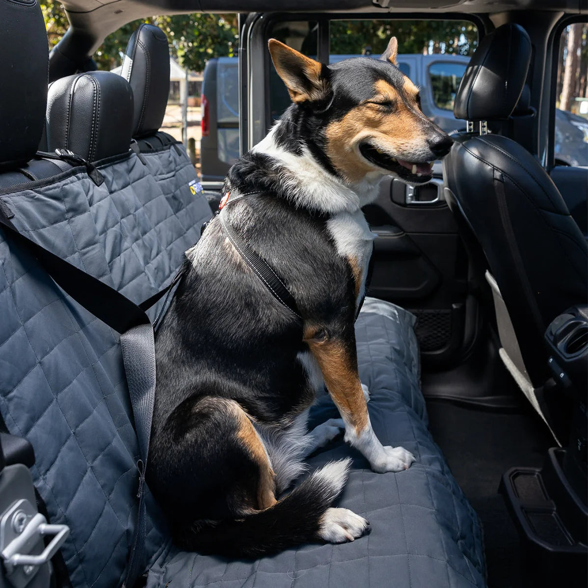 EzyDog DRIVE Car Seat Cover in use