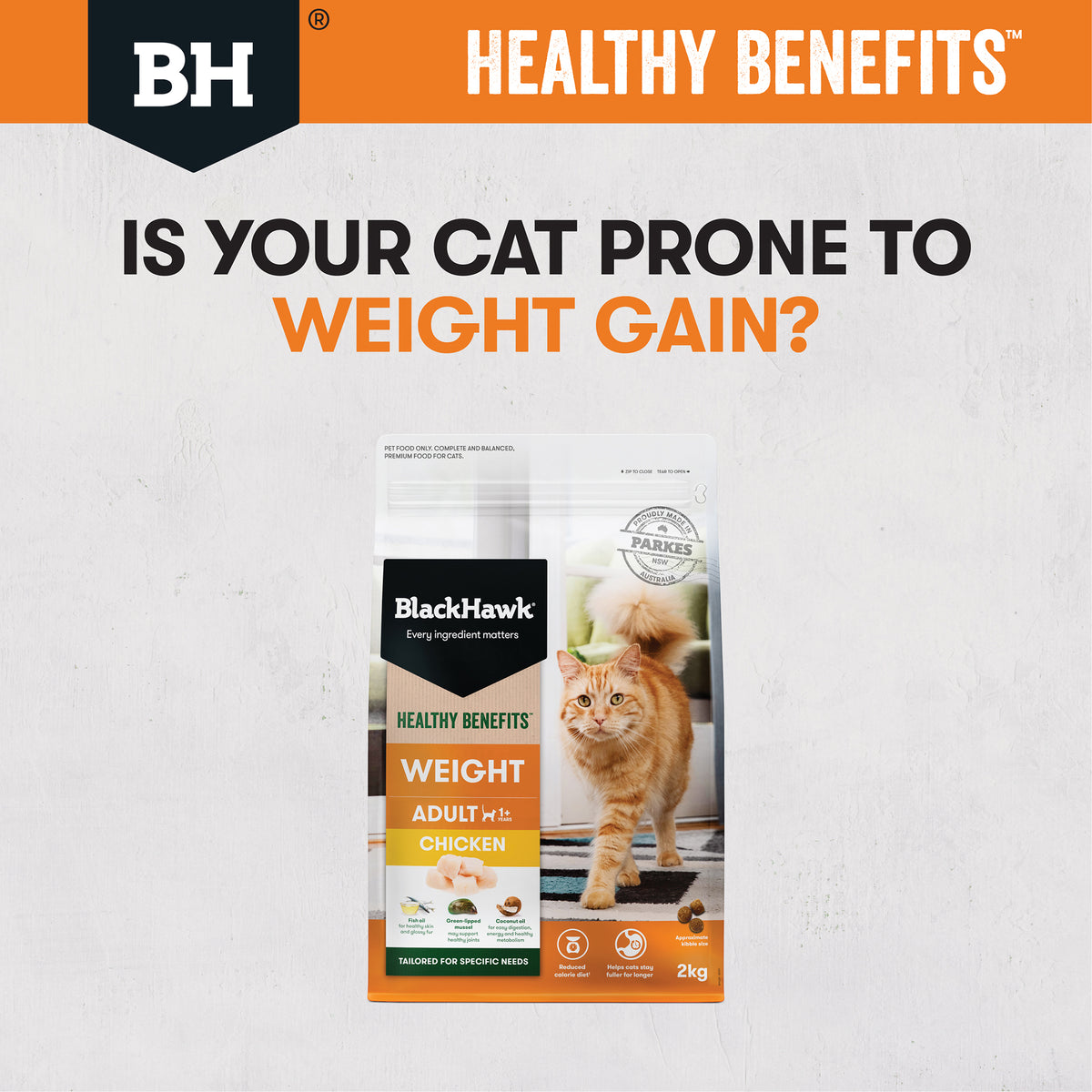 Is your cat prone to weight gain?