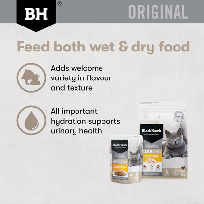 Feed both wet and dry food for variety and hydration