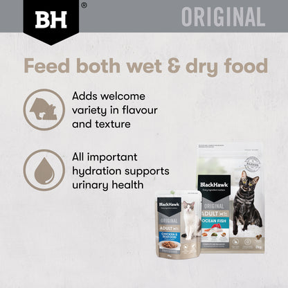 Feed both wet and dry food for variety and hydration that supports urinary health