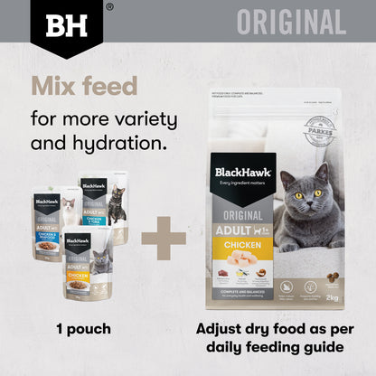 Black Hawk adult cat variety pouches with Original Chicken dry food for mixed feeding