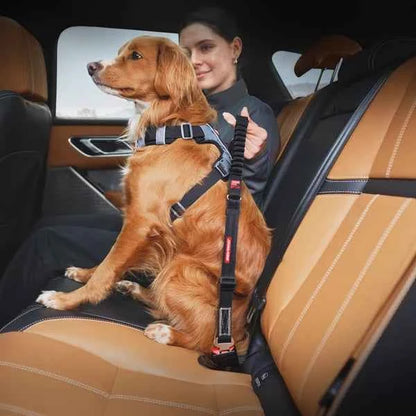 EzyDog Car Click Zero Shock Seat Belt Attachment
