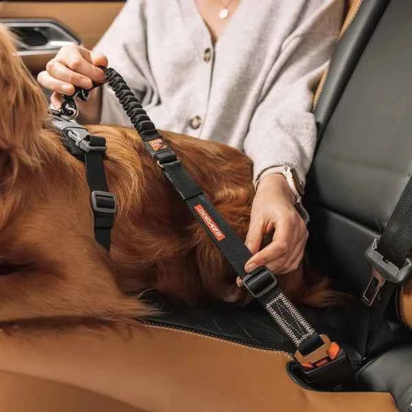 EzyDog Car Click Zero Shock Seat Belt Attachment
