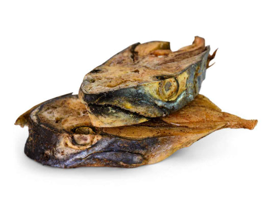 Topflite Hound Salmon Steaks
