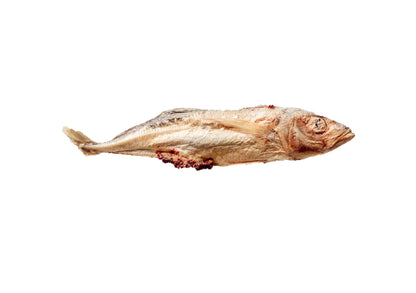 Topflite Hound Whole Mackerel