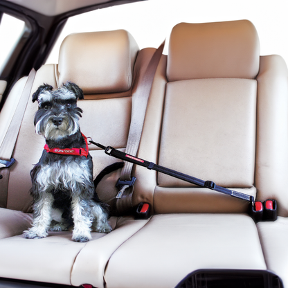 EzyDog Click Adjustable Seat Belt Attachment - Black (Special Order)