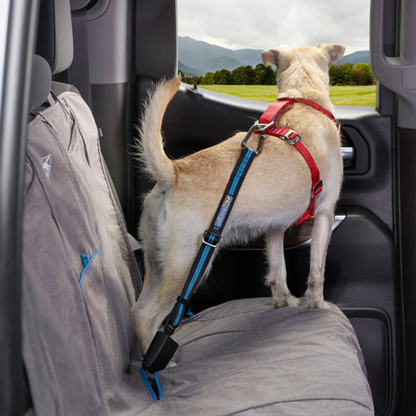 Kurgo Direct to Seatbelt Tether - Blue (Special Order)