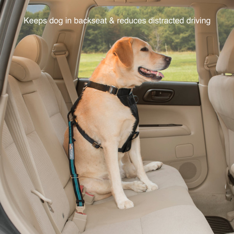 Kurgo Direct to Seatbelt Tether - Blue (Special Order)